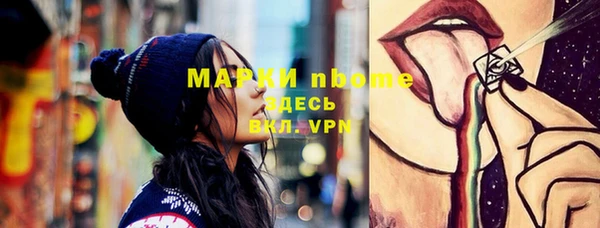 твердый Горняк