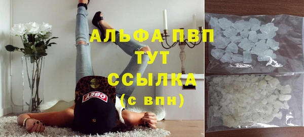 молекула духа Горнозаводск