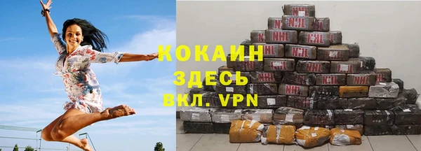 твердый Горняк