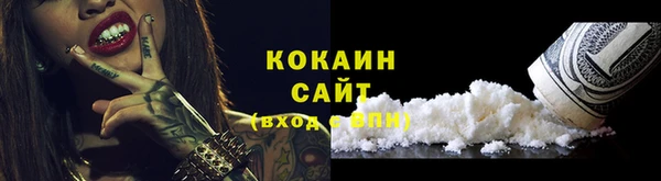 твердый Горняк