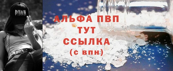 твердый Горняк