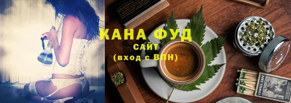 молекула духа Горнозаводск