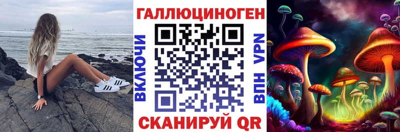 Псилоцибиновые грибы MAGIC MUSHROOMS  Купить где  Карабаново 